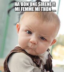 images.jpeg