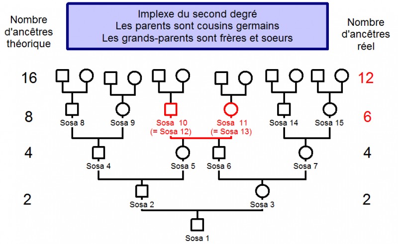 Implexe_2-1.jpg