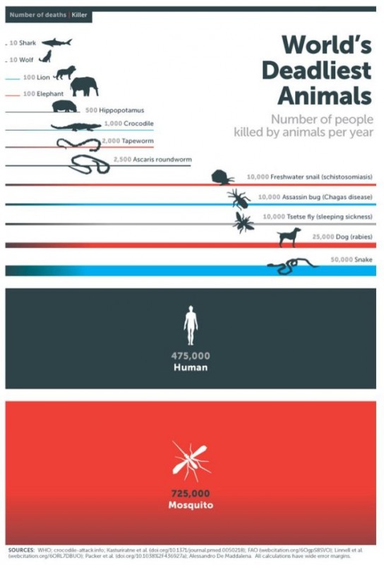 Mosquito-Week-Infographic.jpeg