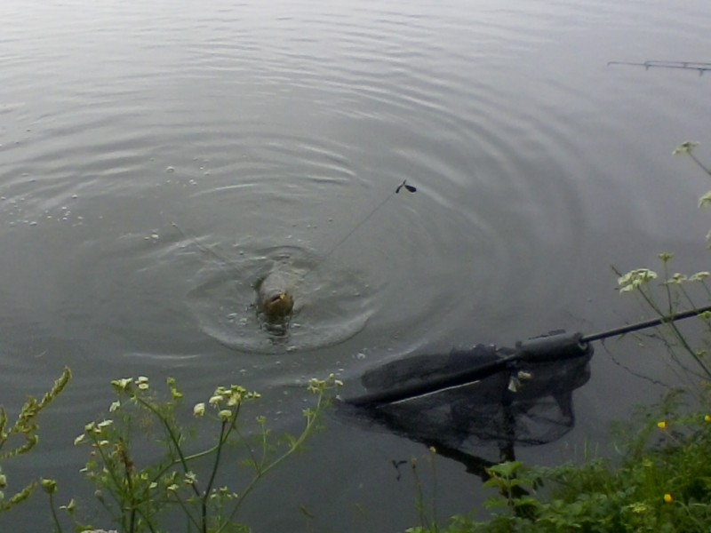 Photo0004.jpg