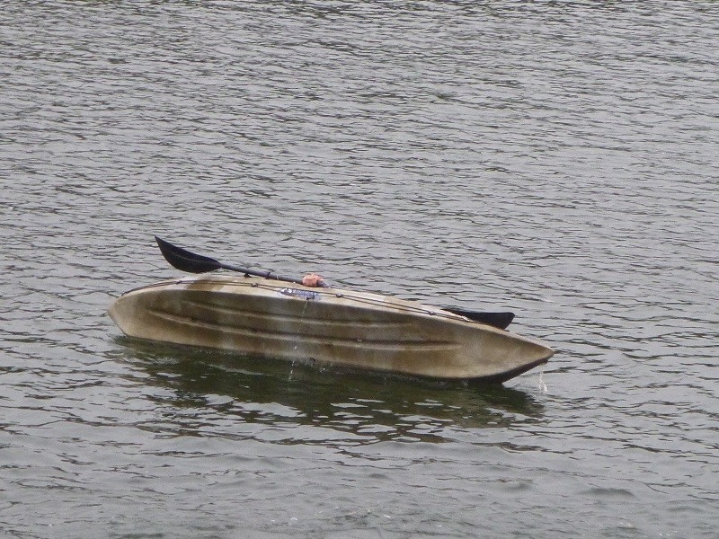 P1020317.JPG