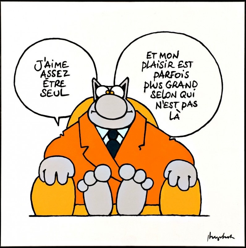 le chat 3.jpg