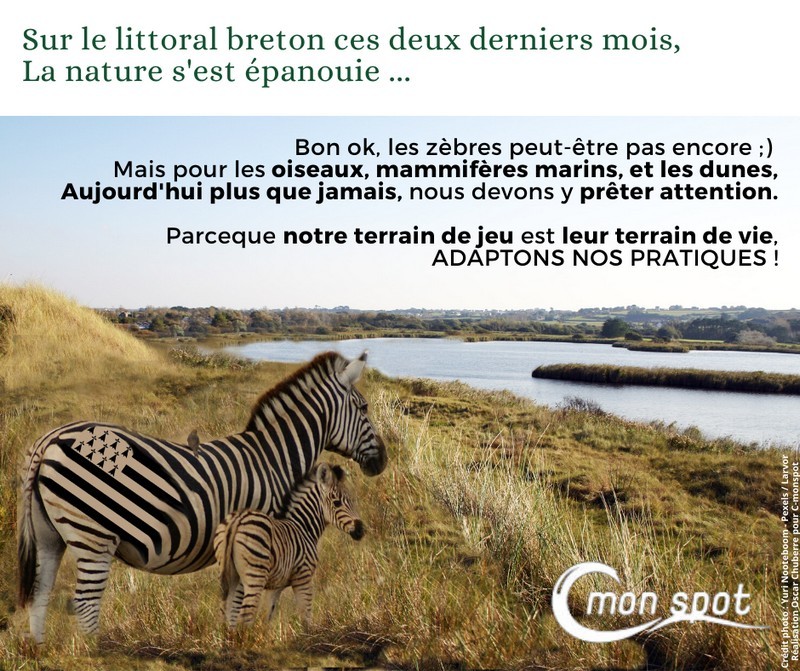 Déconfinement - faune.jpg