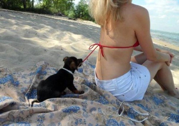 chien-soutif-femme-plage-sous-vetements-fille.jpg